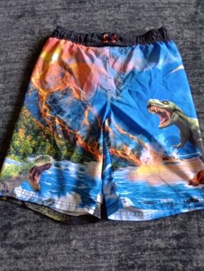 Dinosaur TRex Volcano Swimming Trunks (L 10/12)